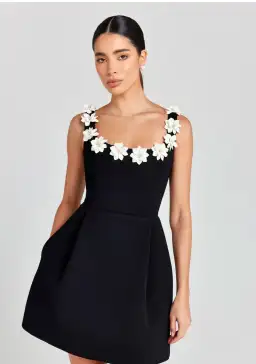 Nadine Merabi Cindy Monochrome Dress Size XS/Au 6 for rent on The Volte - image 3