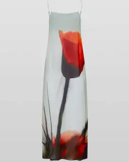 Rat & Boa Luciana Dress Tulip Print Size 4 for rent on The Volte - image 3