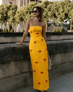 Leo Lin Rayna Embellished Bustier Maxi Dress in Cherry Beading Size 8 for rent on The Volte - image 1