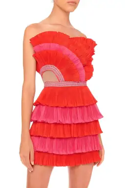 Eliya the Label Maryanne Mini Dress Red and Pink Size XS/Au 6 for rent on The Volte - image 3