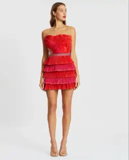 Eliya the Label Maryanne Mini Dress Red and Pink Size XS/Au 6 for rent on The Volte - image 1