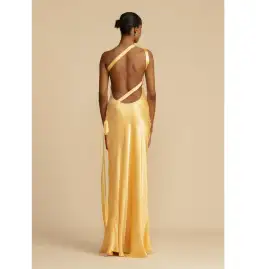 Arcina Ori Monique Maxi Gown Yellow Size AU 8 for rent on The Volte - image 3