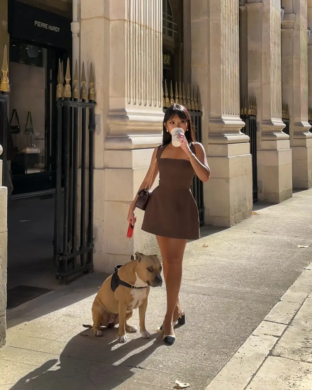 Odd Muse The Ultimate Muse Structured Mini Dress Chocolate Size S / AU 8 for rent on The Volte - main image