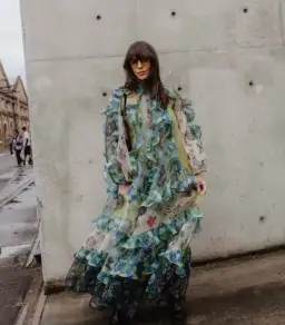 Alemais Guardian Ruffled Silk Organza Gown Size 10 Au for rent on The Volte - image 2