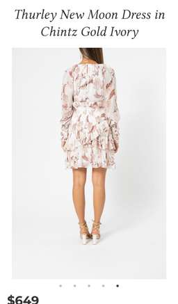 Thurley New Moon Dress Blush 8 for rent on The Volte - image 3