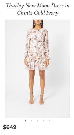 Thurley New Moon Dress Blush 8 for rent on The Volte - image 4