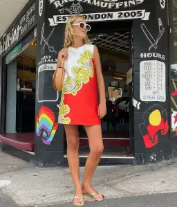 Alemais Sierra Mini Dress Print Size AU 12 for rent on The Volte - image 4