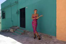 Rat & Boa KiKi Dress Pink Size 8 for rent on The Volte - image 5