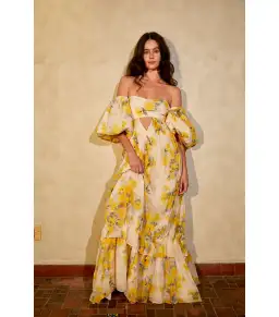 Rooh Collective Poppy Zephyr Maxi Dress Floral Size AU 8 for rent on The Volte - image 1