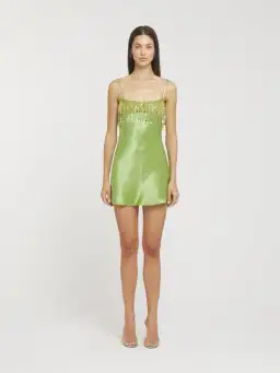Asta Resort Yasmin Hand Beaded Mini Dress in Chartreuse Size Small / AU 8 for rent on The Volte - image 1