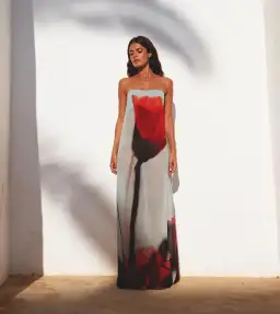 Rat & Boa Luciana Dress in Multi Size AU 10 for rent on The Volte - image 1