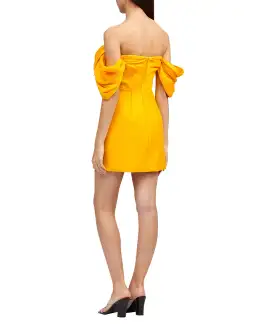 Acler Selkin Mini Dress Yellow Size 10 for rent on The Volte - image 3