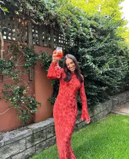 Realisation Par The Gia Dress Havana Size 8 for rent on The Volte - image 3