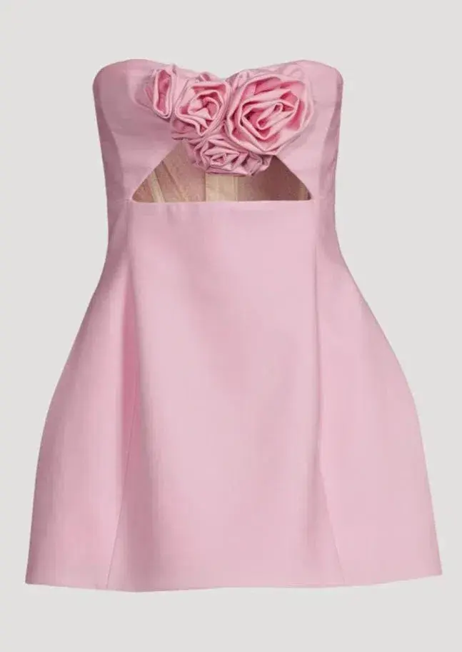 Yojani Boutique Valencia Dress Baby Pink Size XS / AU 6 for rent on The Volte - main image