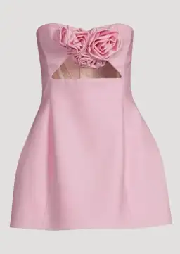 Yojani Boutique Valencia Dress Baby Pink Size XS / AU 6 for rent on The Volte - image 5
