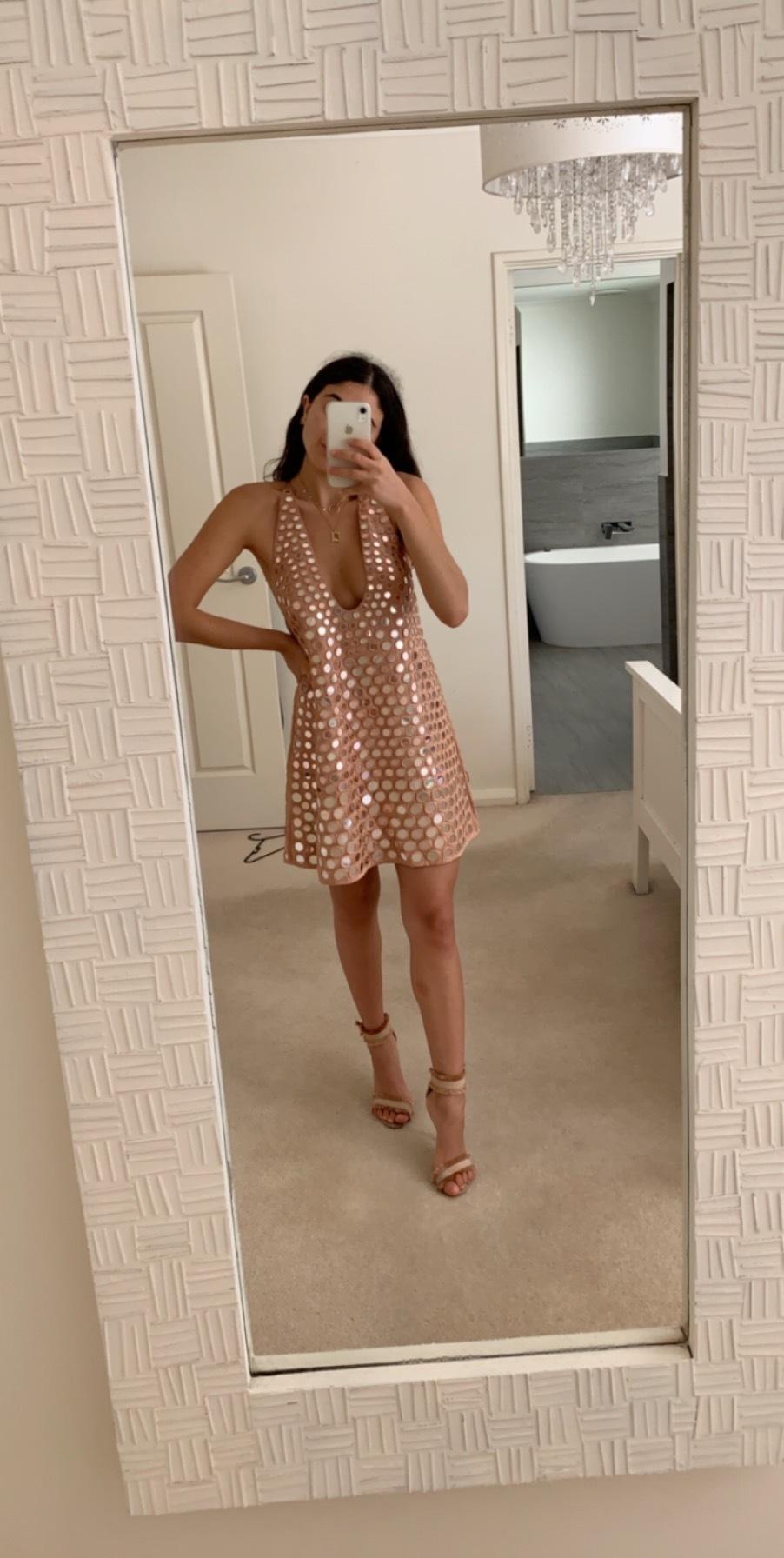 Zimmermann Lavish Mirror Slip Dress Nude Pink Size 8 for rent on The Volte - main image