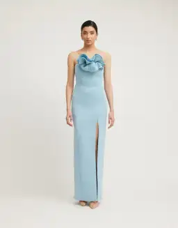 Tojha Fleur Maxi Dress in Powder Blue Size AU 10 for rent on The Volte - image 1