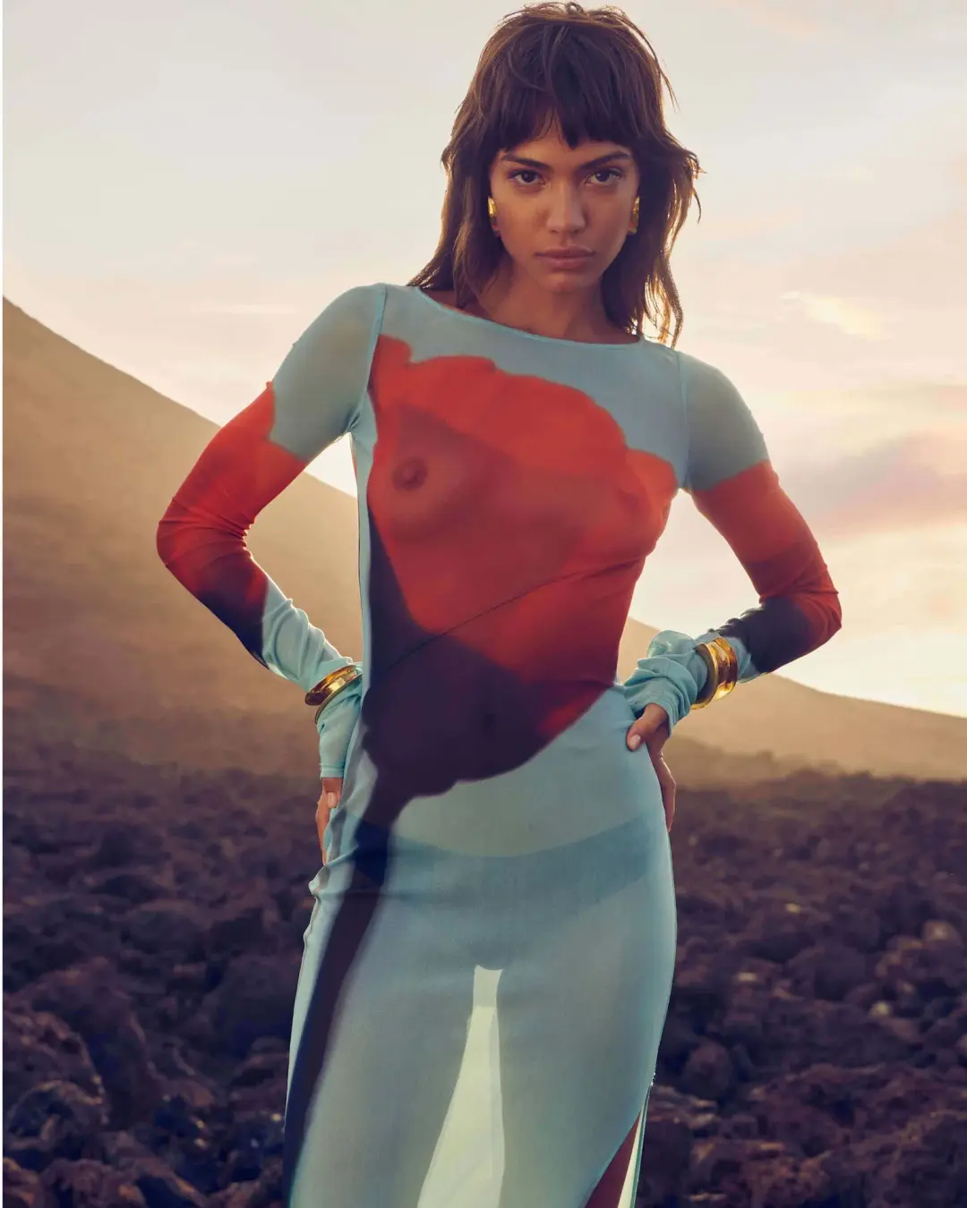 Rat & Boa Santino Mesh Dress Tulip Print Size 6 for rent on The Volte - main image