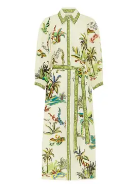 Alémais Day Dream Shirtdress Maxi Dress Print Size 16 for rent on The Volte - image 3