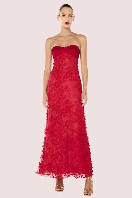 Manning Cartell Enchanment Balconette Gown Size 8 for rent on The Volte - main image
