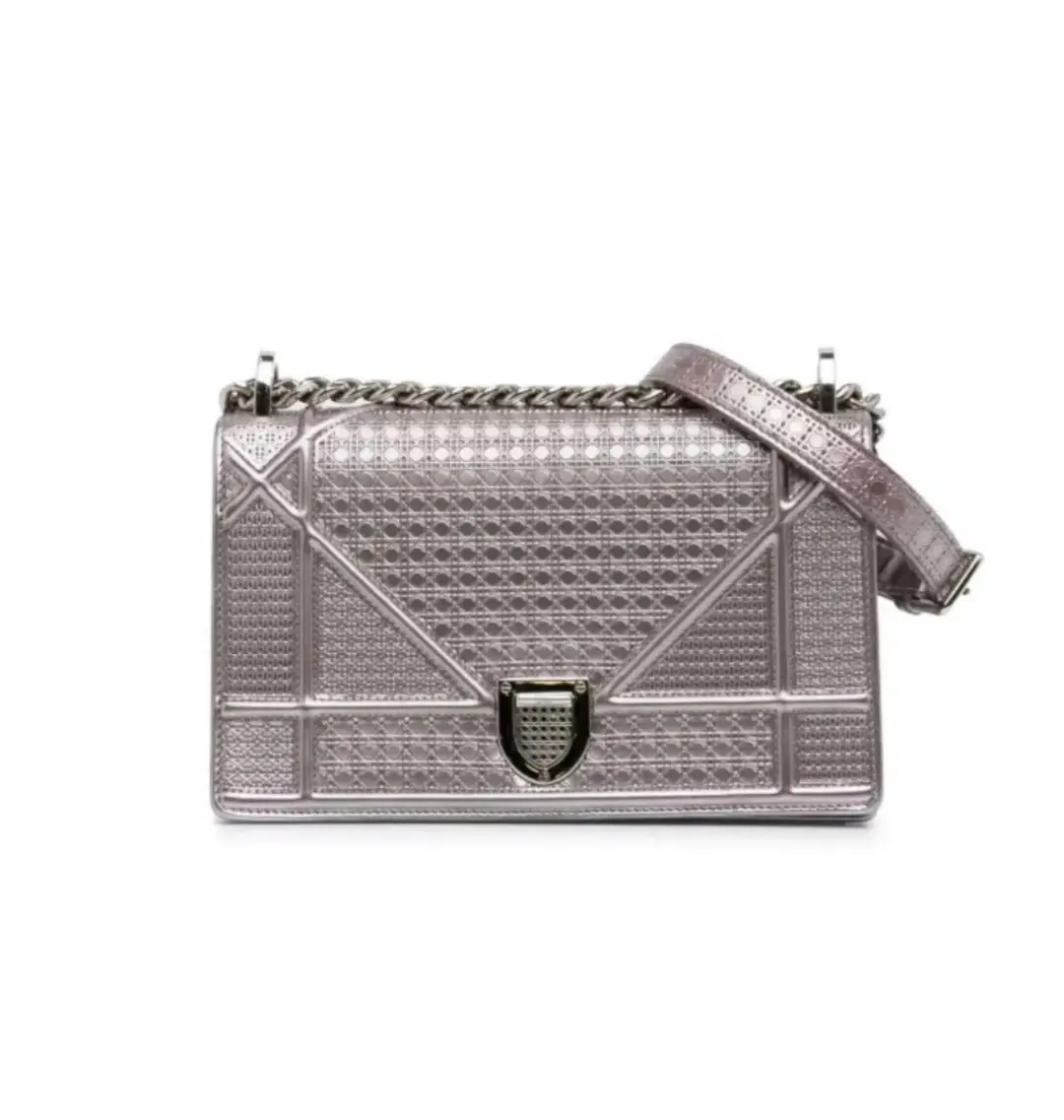 Dior Diorama Bag Silver for rent on The Volte - main image