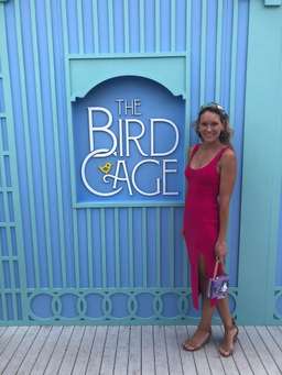 Bec & Bridge Giddy Up Race Dress Size 8 for rent on The Volte - image 2