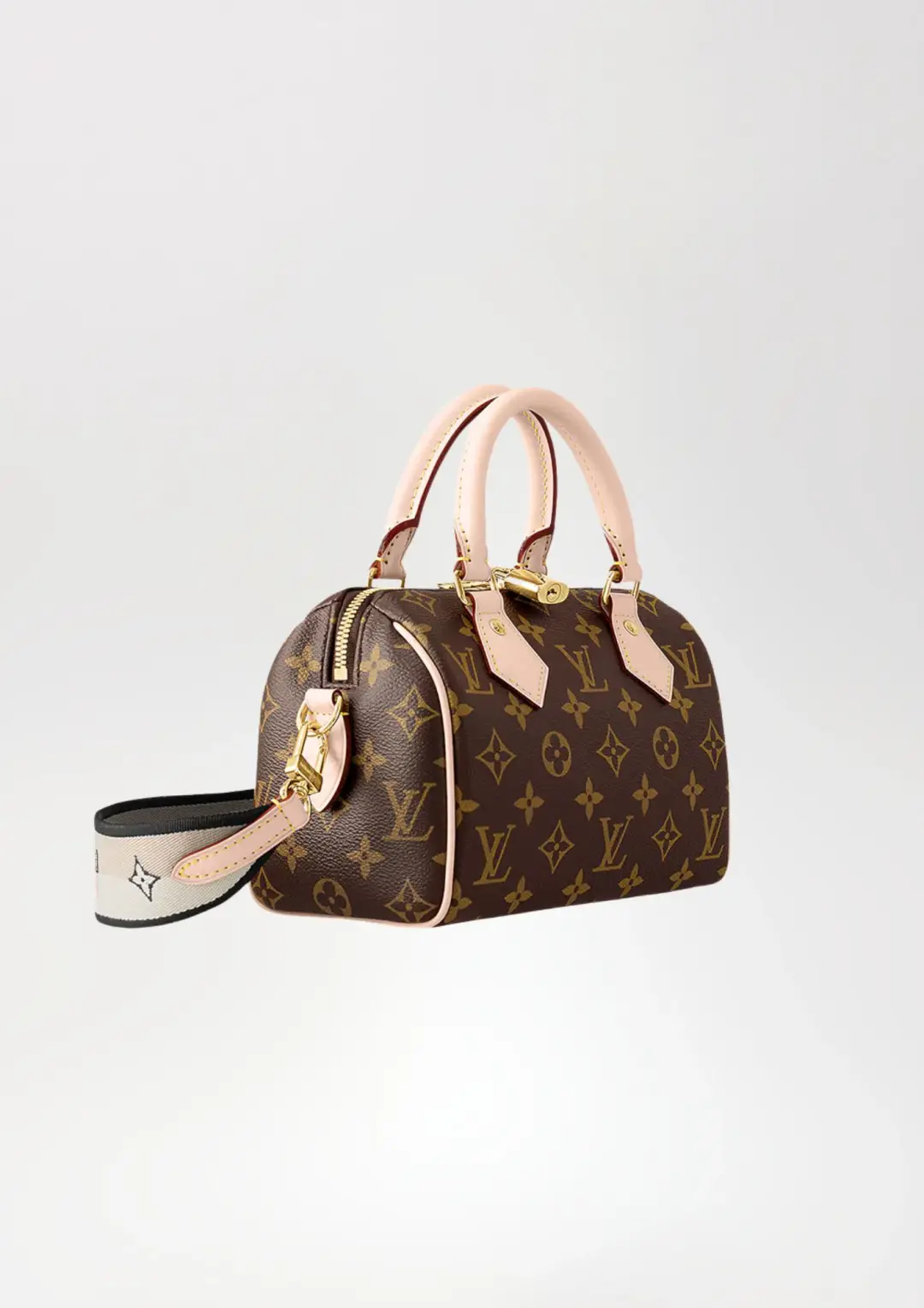 Louis Vuitton Speedy Bandoulière 20 for rent on The Volte - main image