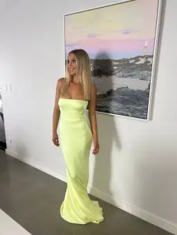 Alex Perry Cassidy Strapless Gown Lime Size 6