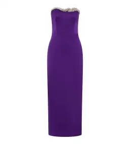 Rachel Gilbert Lorna Dress Gown in Purple Size 0 / AU 6 for rent on The Volte - image 1