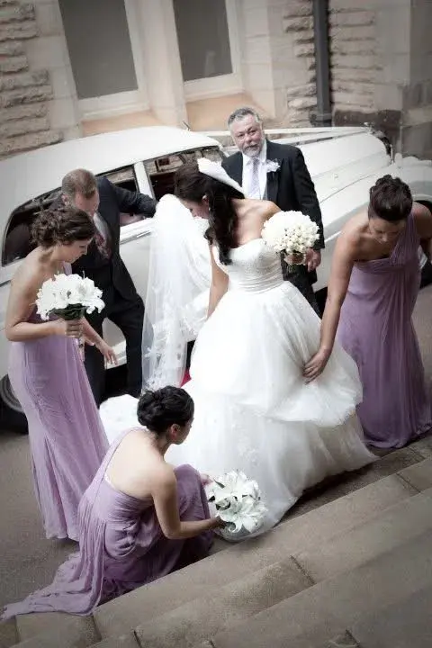 Pronovias Bridal size 10 for rent on The Volte - main image