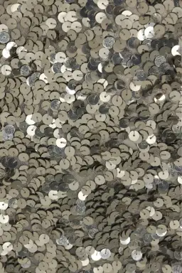 Rachel Gilbert Fleur Mini Dress Gunmetal Sequin Size 5 / AU 16 for rent on The Volte - image 4