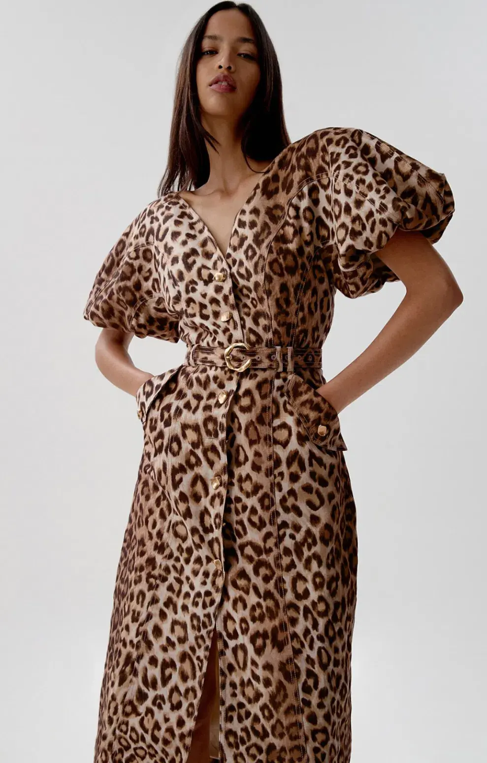Aje Isabella Shirtdress in Leopard Print Size AU 14 for rent on The Volte - main image