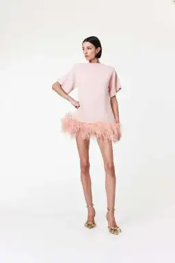 Rachel Gilbert Rita Mini Pink Size S / Size AU10 for rent on The Volte - image 1