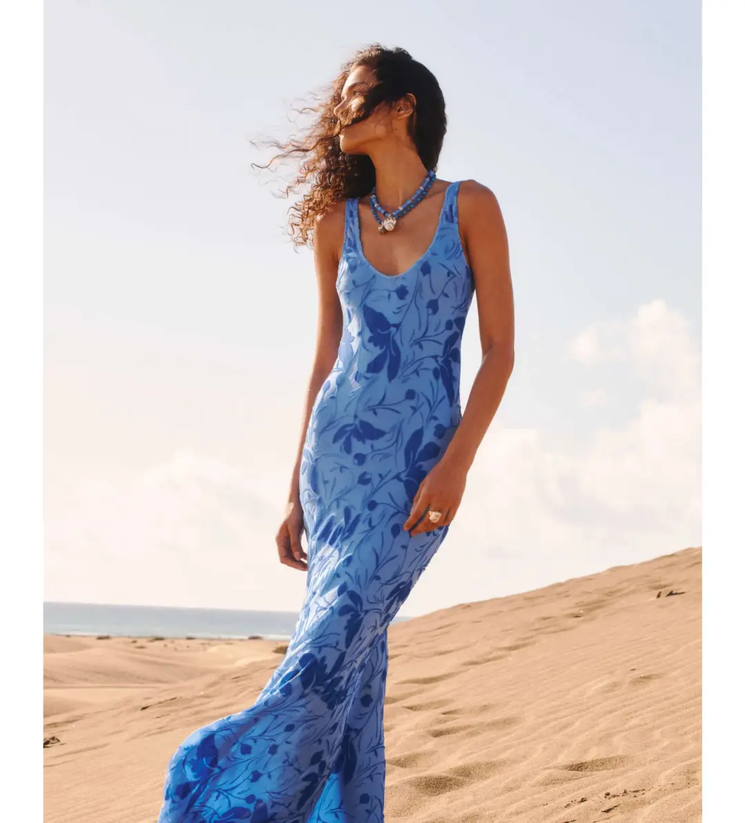 Rat & Boa Inez Maxi Dress Blue Print Size L/AU 12 for rent on The Volte - main image
