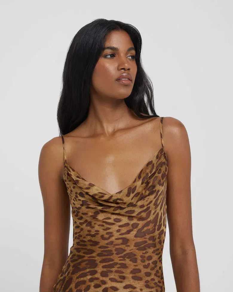 Rat & Boa Valentina Dress Print Size 8 for rent on The Volte - main image