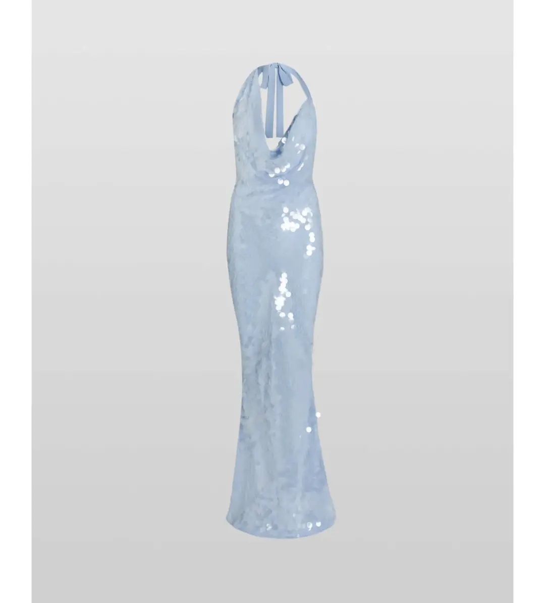 Rat and Boa Anais Maxi Dress in Blue Size S / AU 8 for rent on The Volte - main image