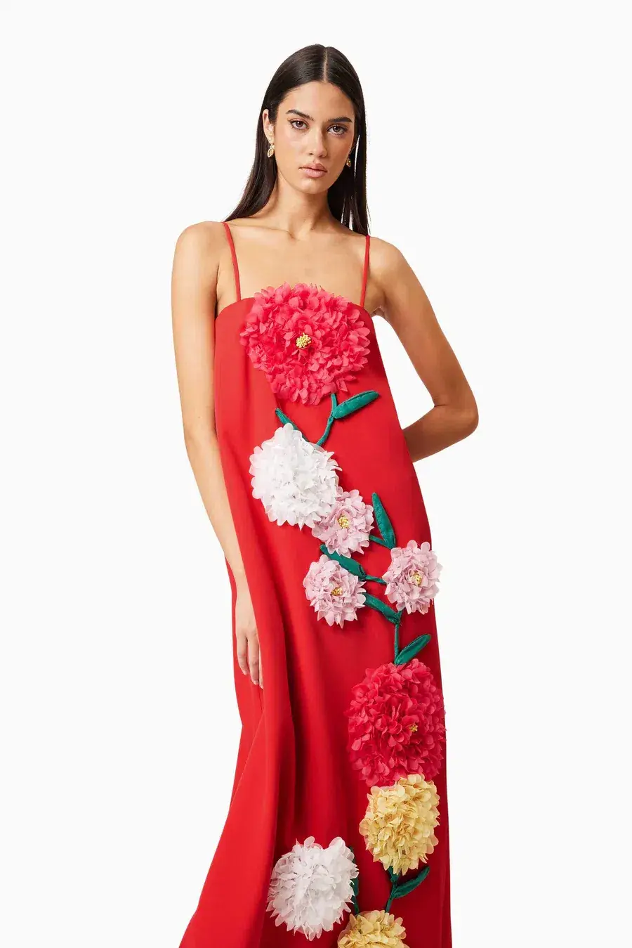Elliatt Buttercup Embroided Maxi Dress Red Size M/ AU 10 for rent on The Volte - main image