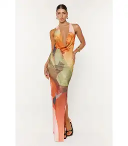 She is OLLÁ Pamela Maxi Dress Print Size S / AU 8 for rent on The Volte - image 1