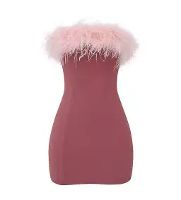 House Of Cb Alexa Warm Mini Dress Size Pink Feather XS/ AU 6 for rent on The Volte - image 8