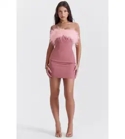 House Of Cb Alexa Warm Mini Dress Size Pink Feather XS/ AU 6 for rent on The Volte - image 1