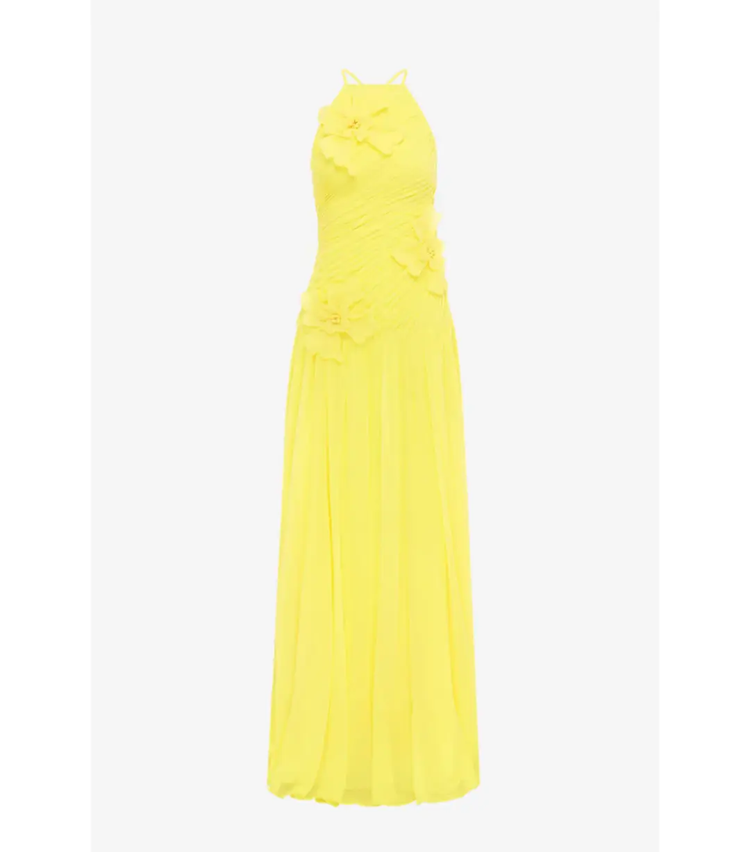 Leo Lin Amya Floral Appliqué Maxi Gown in Sunshine Size AU 8 for rent on The Volte - main image