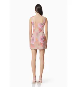 Elliatt Brittany Floral Mini Dress in Pink Size XL / AU 14 for rent on The Volte - image 3