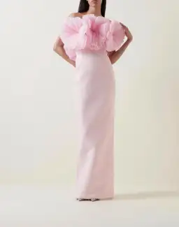Rachel Gilbert Angelo Maxi Gown Pink 3 / AU 12 for rent on The Volte - image 1