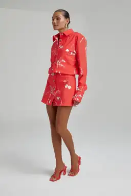 SUMMI SUMMI Denim Dress - Red Dragon of Hearts XL for rent on The Volte - image 1