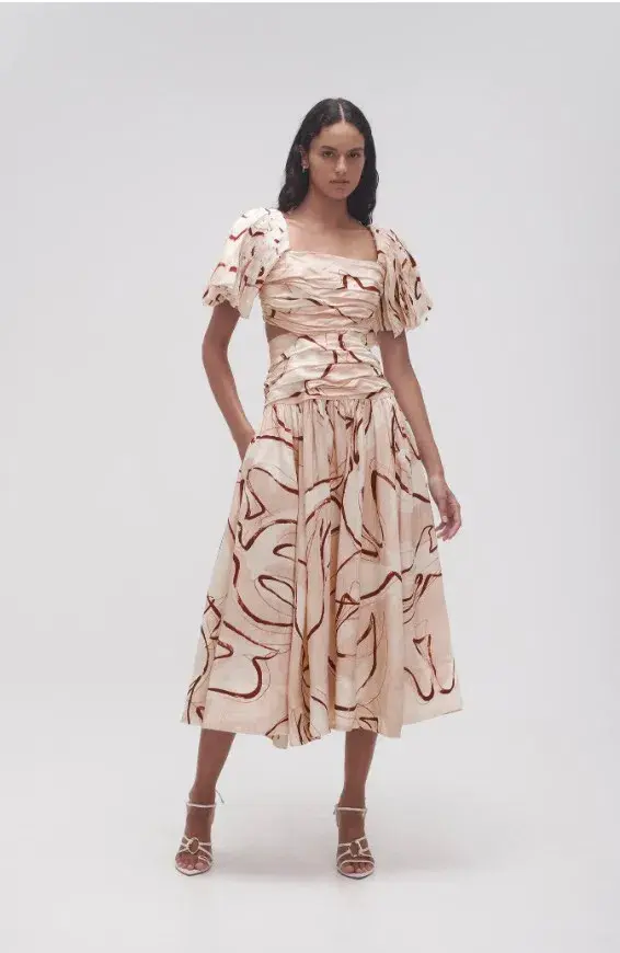 AJE Marianne Midi Dress Ruched Cutout Whimsical Dove for rent on The Volte - main image