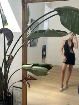 Aubree Meshki Dress for rent on The Volte - image 5