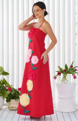 Elliatt Buttercup Embroidered Maxi Dress In Red size XL/ AU14-16 for rent on The Volte - image 1