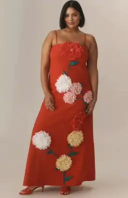 Elliatt Buttercup Embroidered Maxi Dress In Red size XL/ AU14-16 for rent on The Volte - image 2