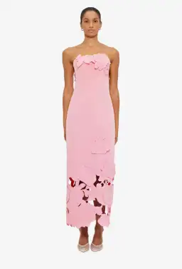 Leo Lin Rayna Pink Applique Bustier Maxi Dress Size 8 AU for rent on The Volte - image 1