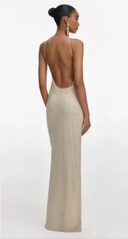 SELF-PORTRAIT CHAMPAGNE RHINESTONE LACE TRIM MAXI DRESS IN AU 8 for rent on The Volte - image 2